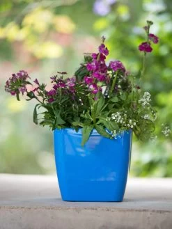 Viva Square Self-Watering Planter, 7" Diameter -Green Haven Shop 8595223 1113 tif