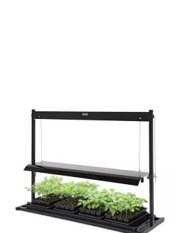 LED SunLite® Tabletop Garden -Green Haven Shop 8595552 10125 tif