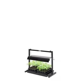 LED SunLite® Compact Tabletop Garden 7 LED SunLite® Compact Tabletop Garden -Green Haven Shop 8595555 10136 tif