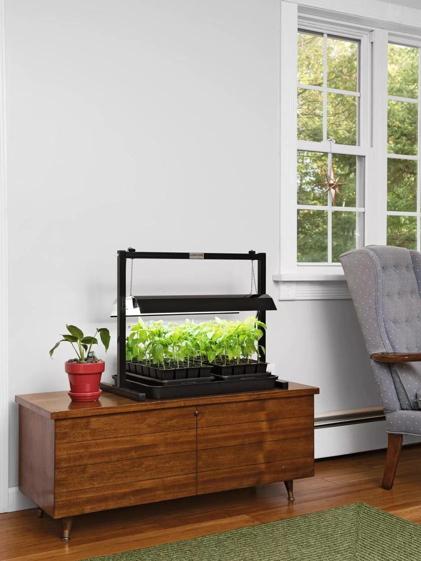LED SunLite® Compact Tabletop Garden 1 LED SunLite® Compact Tabletop Garden