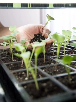 LED Stack-n-Grow Lights - Base Unit -Green Haven Shop 8595770 7373 tif