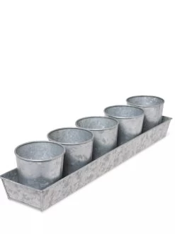 Galvanized Herb Planters With Rectangular Tray -Green Haven Shop 8595903 3924 tif