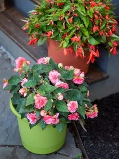 Eezy Gro Self-Watering Planters -Green Haven Shop 8596427 0034 tif