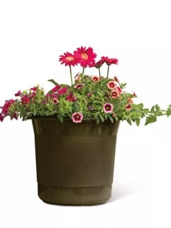 Eezy Gro Self-Watering Planters -Green Haven Shop 8596427 108 tif