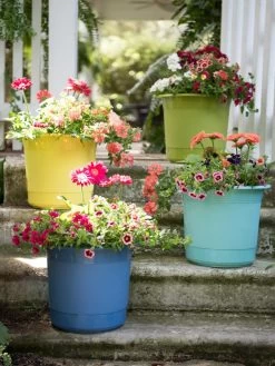 Eezy Gro Self-Watering Planters -Green Haven Shop 8596427 8090 tif