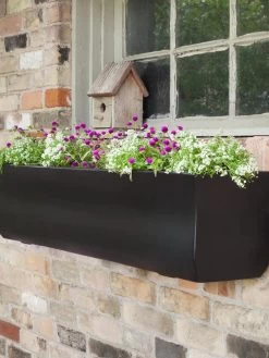 Valencia Window Box, 4' 10 Valencia Window Box, 4' -Green Haven Shop 8596437 001V tif