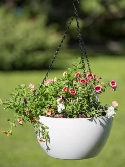 Viva Self-Watering Hanging Basket, 14" Diameter 7 Viva Self-Watering Hanging Basket, 14" Diameter -Green Haven Shop 8596442 0864 tif