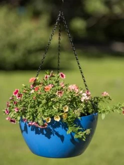 Viva Self-Watering Hanging Basket, 14" Diameter 9 Viva Self-Watering Hanging Basket, 14" Diameter -Green Haven Shop 8596442 0876 tif