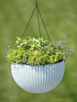 Weave Self-Watering Hanging Basket, 14" -Green Haven Shop 8596490 10307 tif