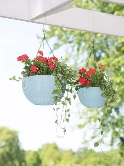 Weave Self-Watering Hanging Basket, 10" -Green Haven Shop 8596490 2069 tif