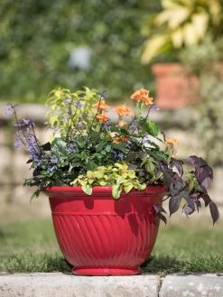Mazzano Self-Watering Planters -Green Haven Shop 8596564 4883 tif