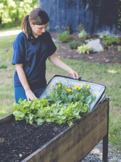 Pop-Up Crop Protector -Green Haven Shop 8596763 EasyCropProtector gif