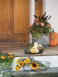 Galvanized Rim Planters 9 Galvanized Rim Planters -Green Haven Shop 8597379 1625 tif