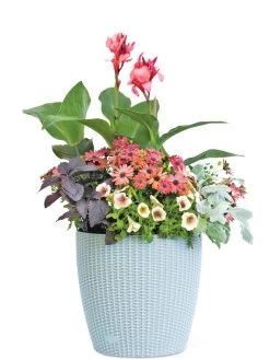 Weave Self-Watering Round Planter, 14" -Green Haven Shop 8597388 2175 tif