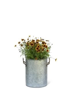 Galvanized Rim Planters 10 Galvanized Rim Planters -Green Haven Shop 8597442 1705 tif