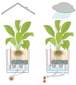 Lechuza® Cube Premium Planters 9 Lechuza® Cube Premium Planters -Green Haven Shop 8597506 05V tif