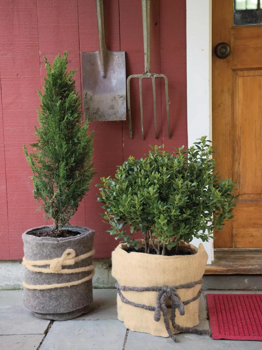 GardenWool® Plant Blanket 1 GardenWool® Plant Blanket