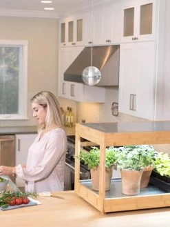 Low Bamboo LED Grow Light Garden -Green Haven Shop 8597720 0816 tif