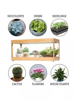 Low Bamboo LED Grow Light Garden -Green Haven Shop 8597720 3