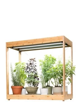 Medium Bamboo LED Grow Light Garden -Green Haven Shop 8597883 1011 tif