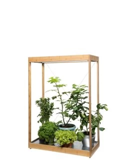 Tall Bamboo LED Grow Light Garden -Green Haven Shop 8597884 7103 tif