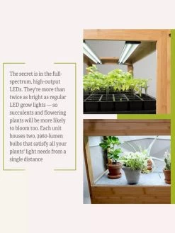 Bamboo LED Grow Light Garden For Succulents And Seeds -Green Haven Shop 8598084 7