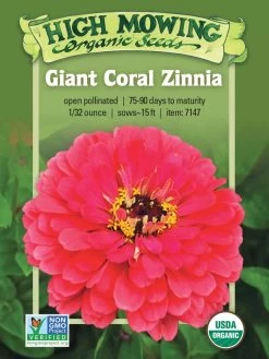 Giant Coral Zinnia Organic Seeds
