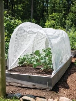 Green Haven Shop -Green Haven Shop 8598301 0409 tif