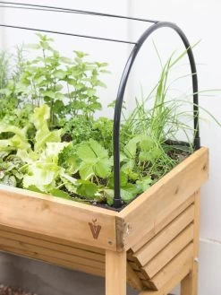 VegTrug® Mini Wallhugger Planter With Cover 8 VegTrug® Mini Wallhugger Planter With Cover -Green Haven Shop 8598339 4004 tif