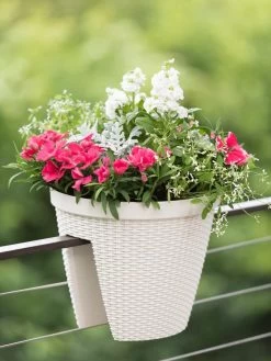 Weave Round Railing Planter, 11" -Green Haven Shop 8598370 8580 tif