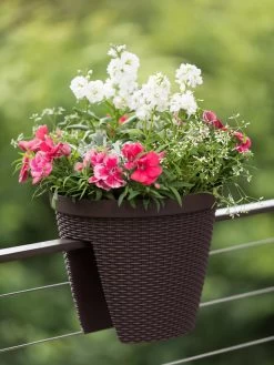 Weave Round Railing Planter, 11" -Green Haven Shop 8598370 8584 tif
