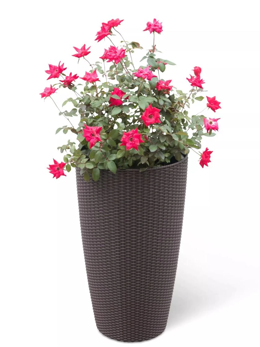 Weave Self-Watering Round Tall Planter, 12-1/2" 1 Weave Self-Watering Round Tall Planter, 12-1/2"