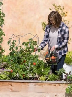 Gardener's Vertex Lifetime Tomato Cage 9 Gardener's Vertex Lifetime Tomato Cage -Green Haven Shop 8598426 0026 tif