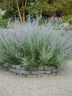 Rock Lock Interlocking Garden System, Curved Sets -Green Haven Shop 8598737 04V tif