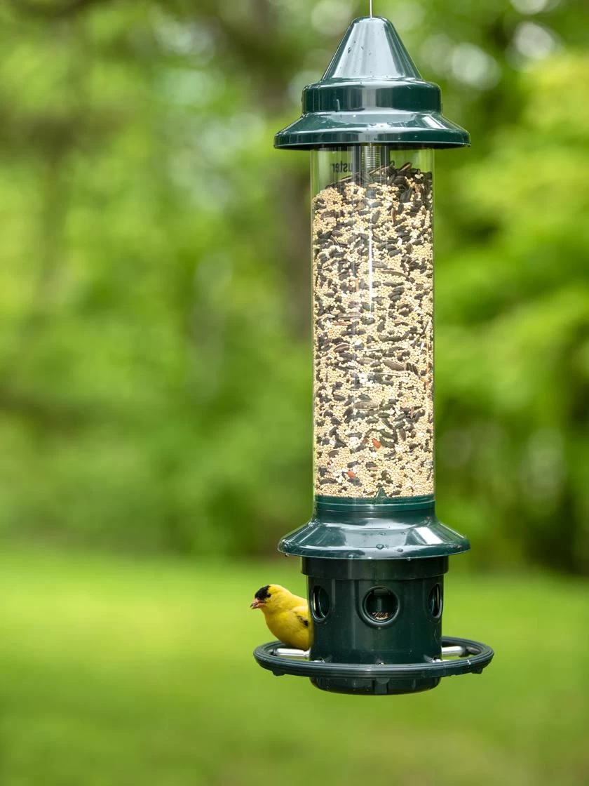 Brome ® Squirrel Buster Plus™ Bird Feeder 1 Brome ® Squirrel Buster Plus™ Bird Feeder