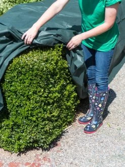 The Planket® Frost Protection Plant Cover, 10' X 20' -Green Haven Shop 8599101 0929 tif