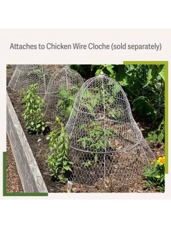 Chicken Wire Cloche Extension -Green Haven Shop 8599107 2