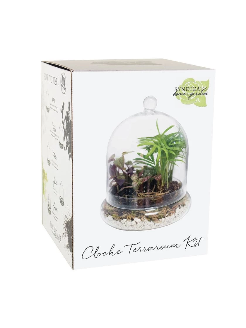 Cloche Terrarium Kit Medium 3 Cloche Terrarium Kit Medium - Image 3