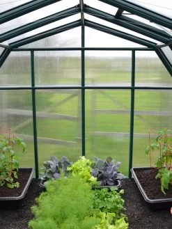 Canopia® By Palram Hobby Gardener Greenhouse, 8' 20 Canopia® By Palram Hobby Gardener Greenhouse, 8' -Green Haven Shop 8599331 05V tif