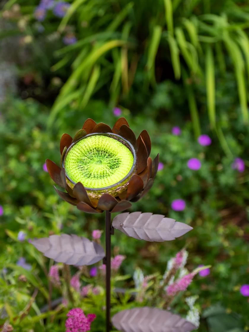 Dahlia Butterfly Feeder 3 Dahlia Butterfly Feeder - Image 3