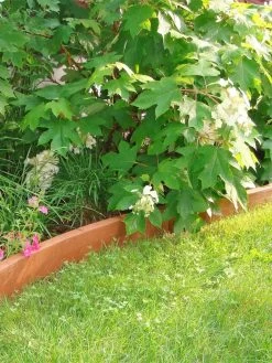 Curved Landscape Edging Kit With 2" Boards -Green Haven Shop 8599407 03V tif