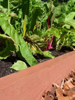 Straight Landscape Edging Kit With 2" Boards -Green Haven Shop 8599408 02V tif