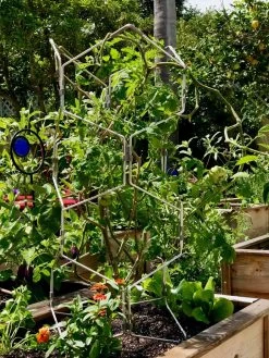 Gardener's Vertex Lifetime Pepper And Eggplant Cage -Green Haven Shop 8599554 01CUST tif