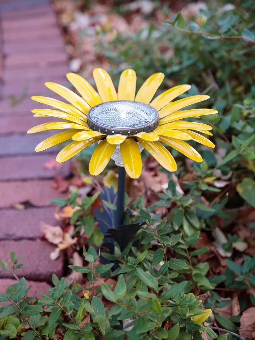 Desert Steel Daisy Solar Light 1 Desert Steel Daisy Solar Light