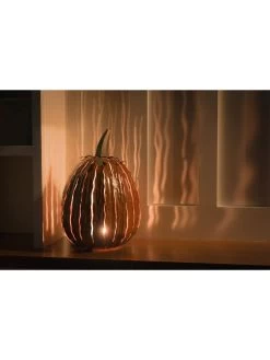 Desert Steel Pumpkin Luminary, Tall -Green Haven Shop 8599559 04v