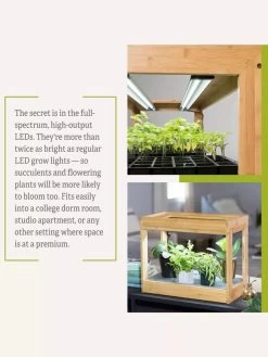 Bamboo Mini LED Grow Light Garden 18 Bamboo Mini LED Grow Light Garden -Green Haven Shop 8599624 06