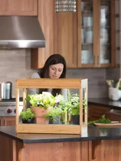 Bamboo Mini LED Grow Light Garden 13 Bamboo Mini LED Grow Light Garden -Green Haven Shop 8599624 12532 tif