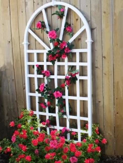 Athens Vinyl Trellis