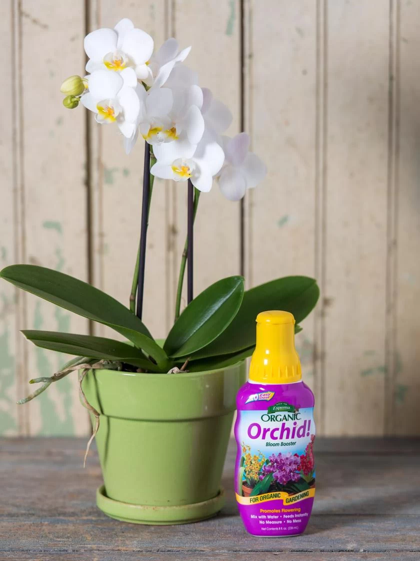 Espoma Orchid! Plant Food 1 Espoma Orchid! Plant Food