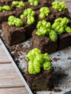 Soil Blocker, 4 Cell 9 Soil Blocker, 4 Cell -Green Haven Shop 8599790 1057 tif